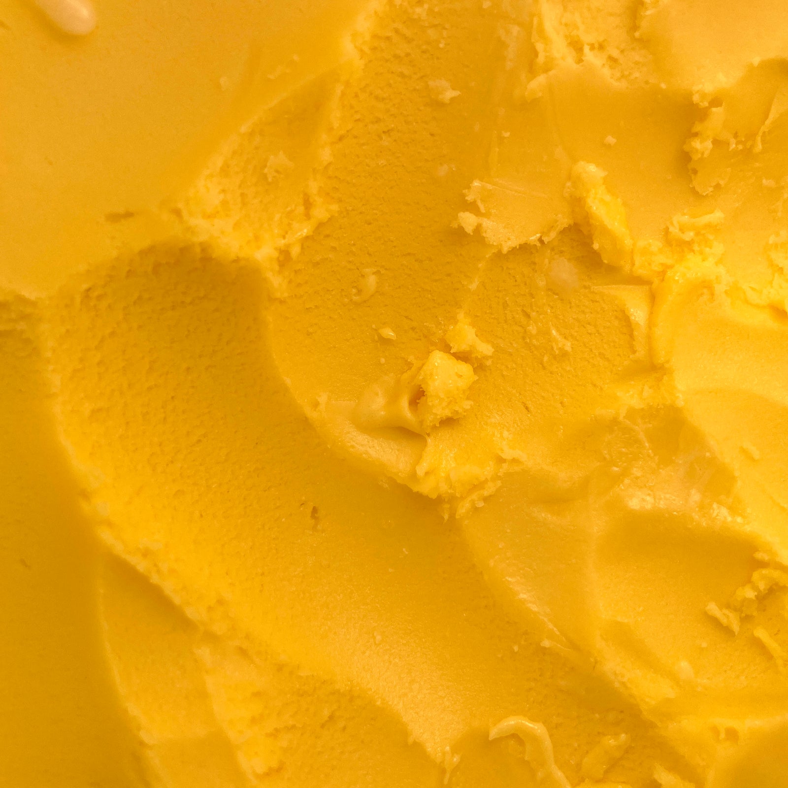 Mango Sorbet