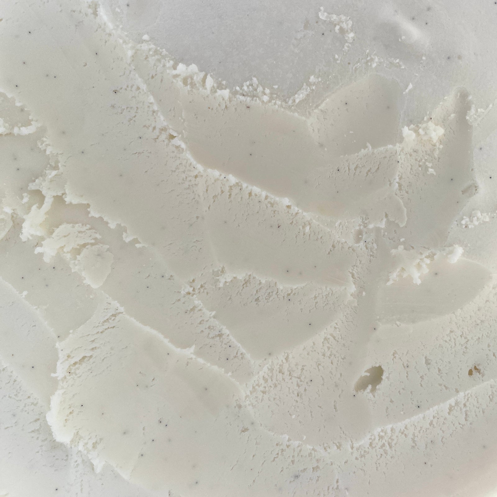 Vanilla Bean