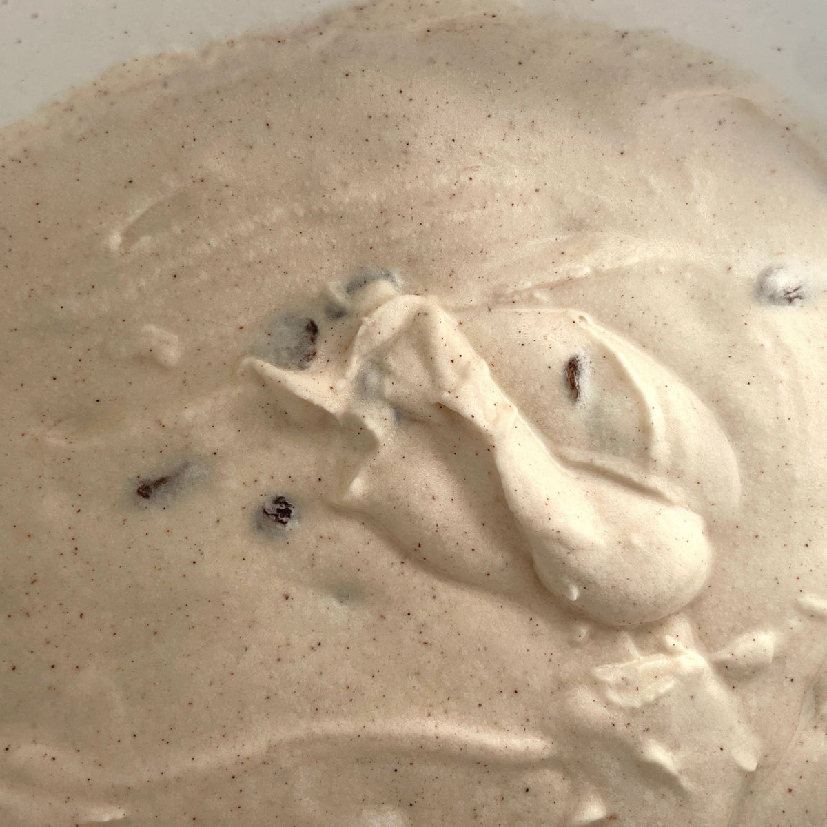 Rum Raisin - Chris's Ice Cream